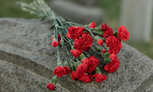 Cemetery Visitation Anapilis